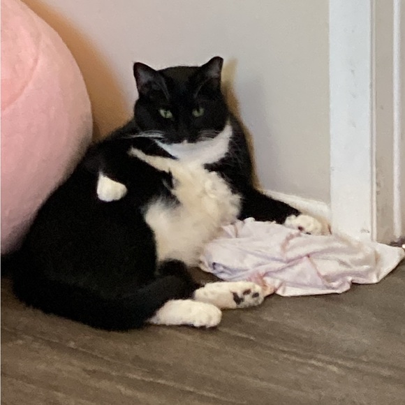 HANDMADE SHARE SHOW. DO NOT BID - Picture 6 of 14